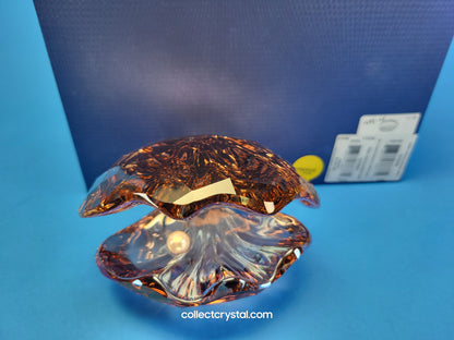PARADISE FISH – PEARL OYSTER VINTAGE ROSE 1075308 Sea Shell