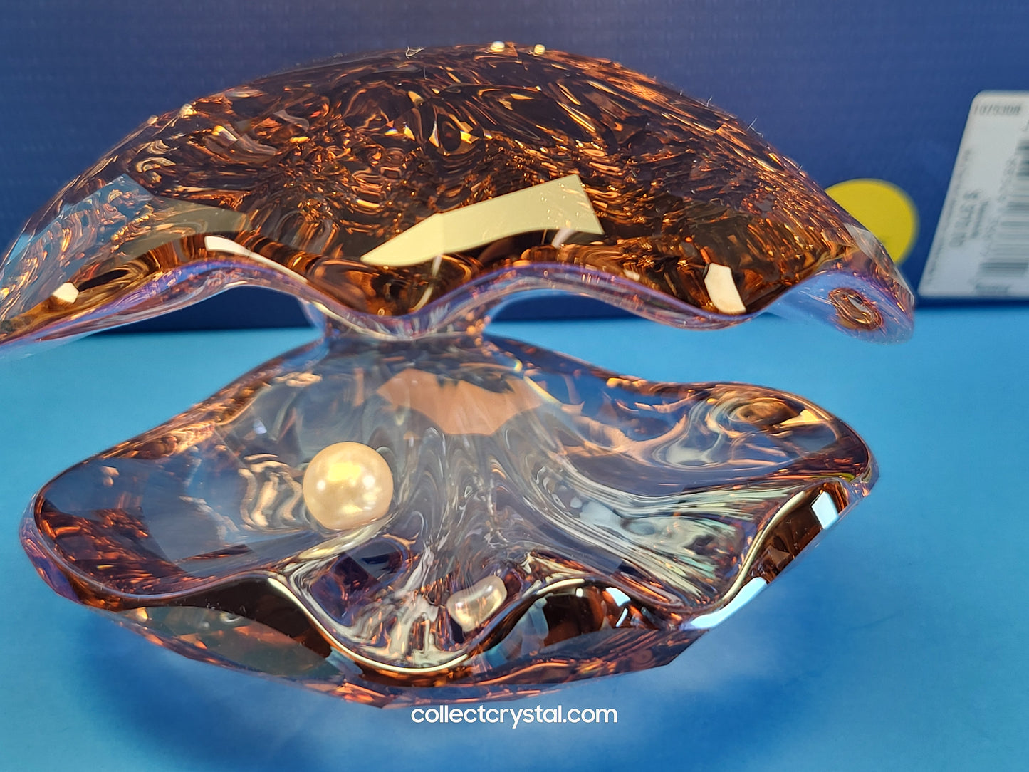 PARADISE FISH – PEARL OYSTER VINTAGE ROSE 1075308 Sea Shell