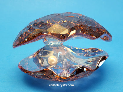 PARADISE FISH – PEARL OYSTER VINTAGE ROSE 1075308 Sea Shell