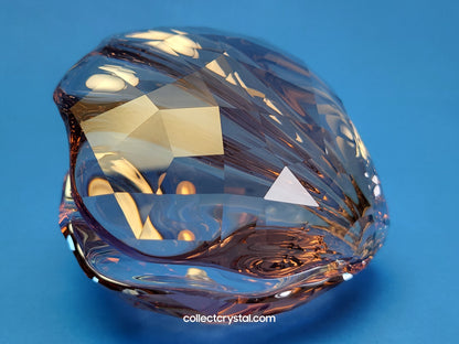 PARADISE FISH – PEARL OYSTER VINTAGE ROSE 1075308 Sea Shell