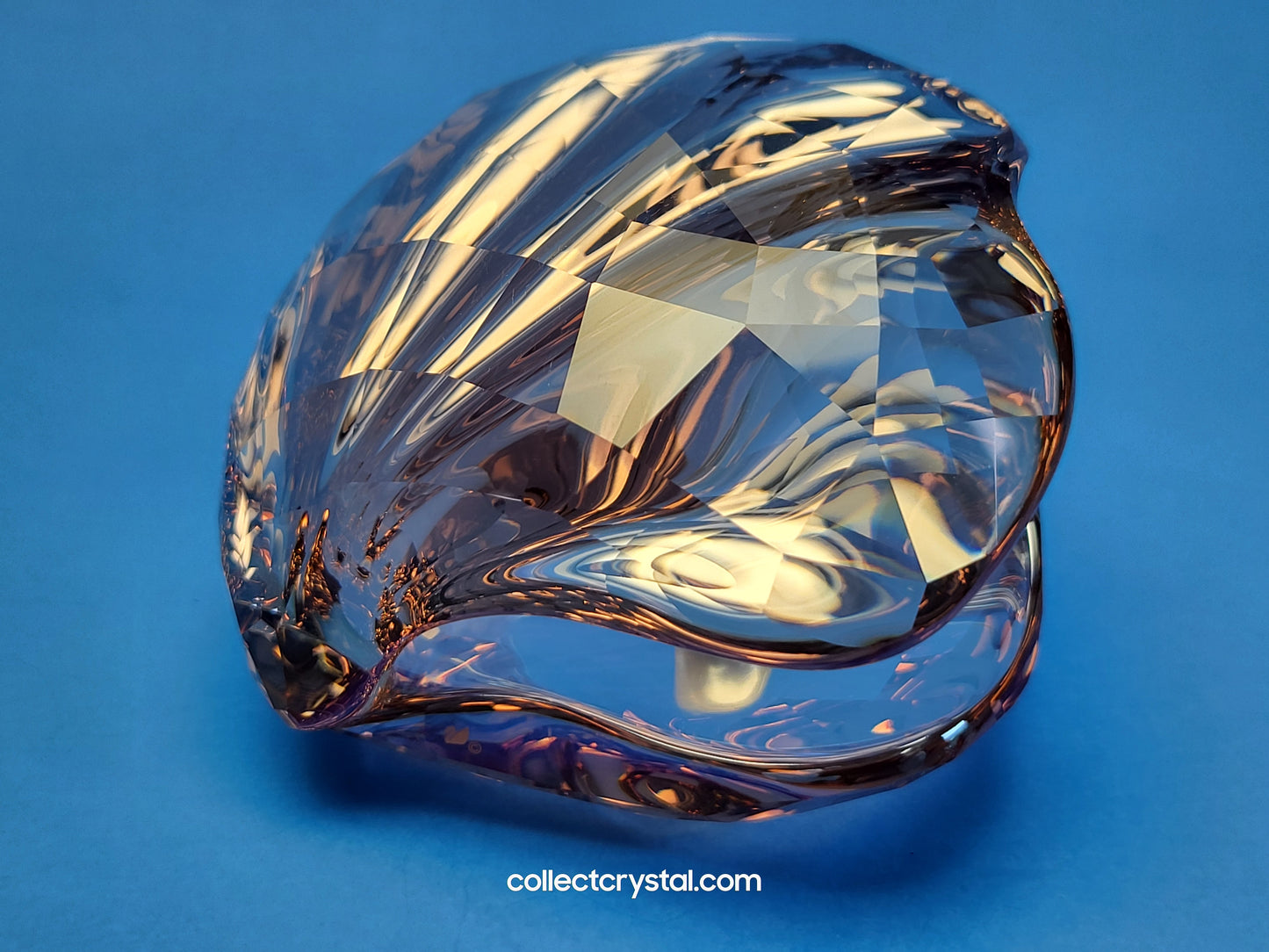 PARADISE FISH – PEARL OYSTER VINTAGE ROSE 1075308 Sea Shell