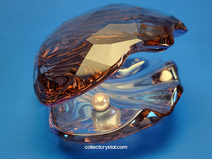 PARADISE FISH – PEARL OYSTER VINTAGE ROSE 1075308 Sea Shell