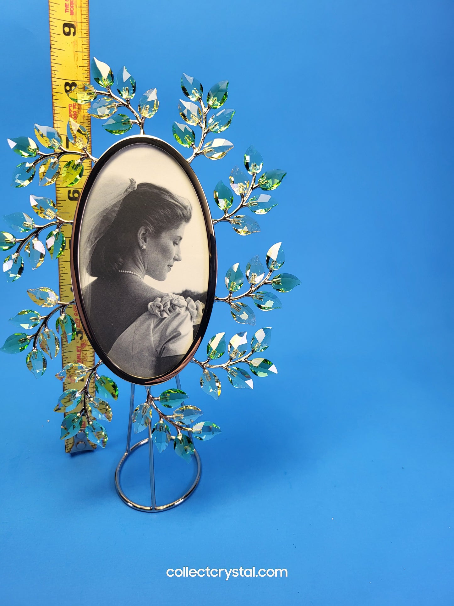 PICTURE FRAME – LEAVES OVAL JONQUIL 660730