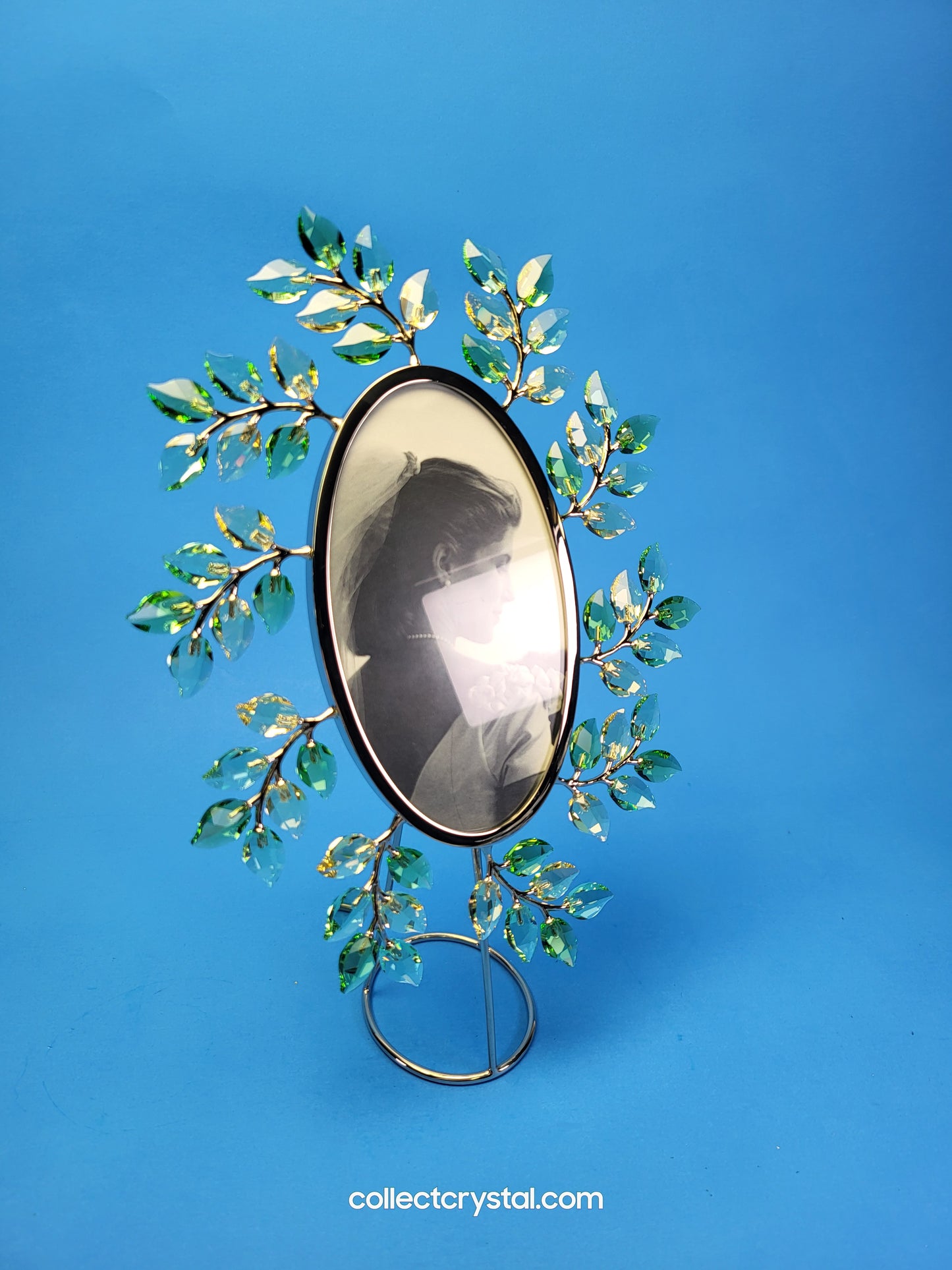 PICTURE FRAME – LEAVES OVAL JONQUIL 660730
