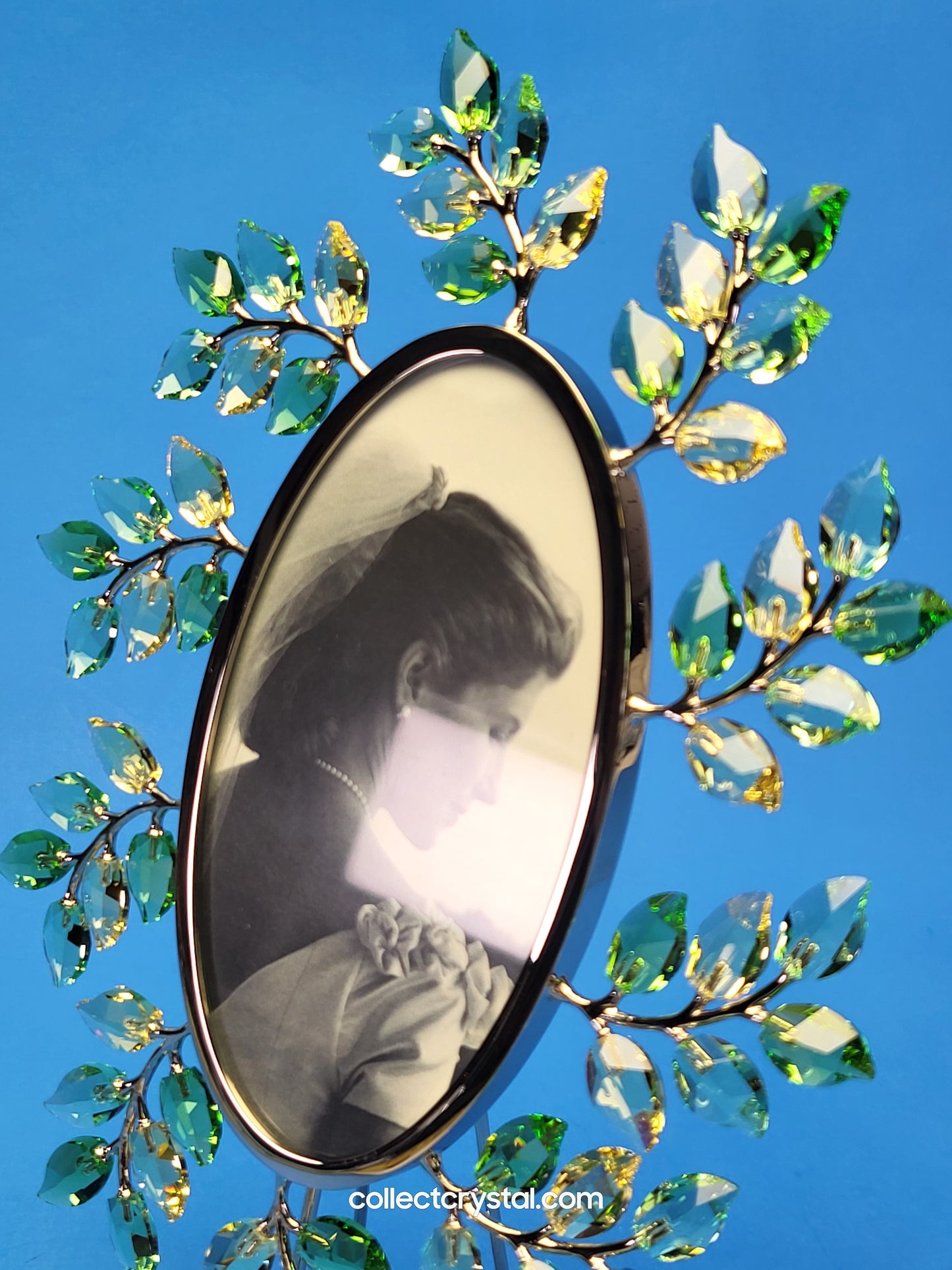 PICTURE FRAME – LEAVES OVAL JONQUIL 660730