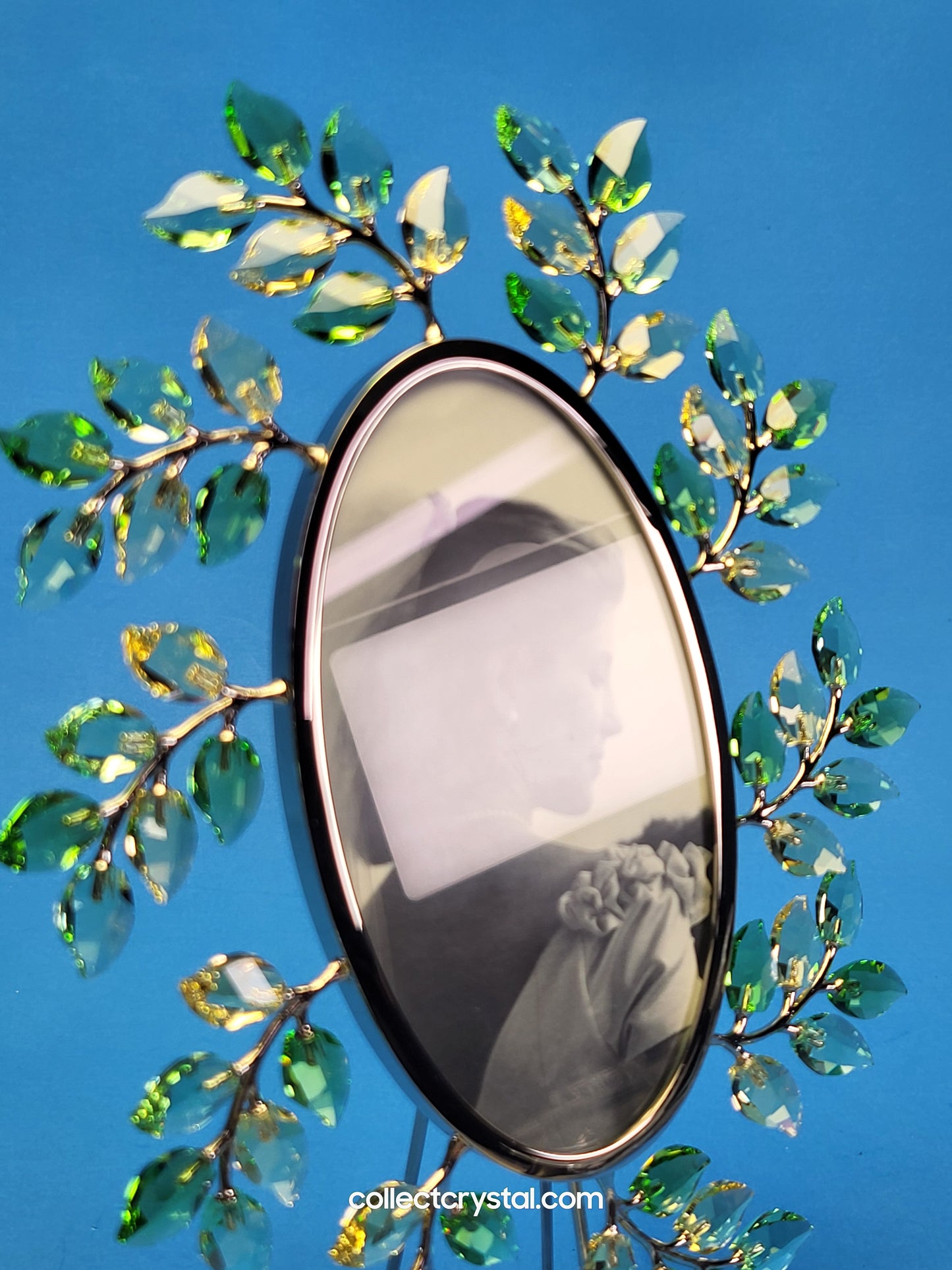 PICTURE FRAME – LEAVES OVAL JONQUIL 660730