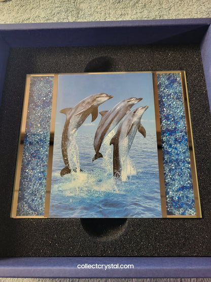 Giftware - PICTURE FRAME – STARLET BLUE MEDIUM 686555