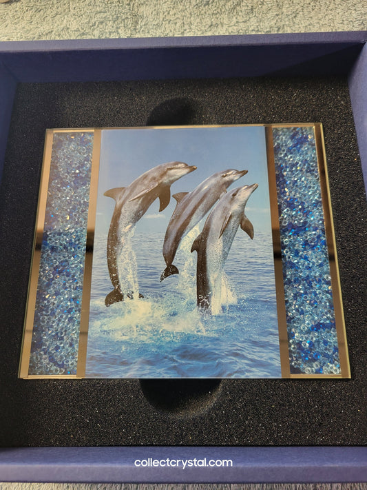 Giftware - PICTURE FRAME – STARLET BLUE MEDIUM 686555