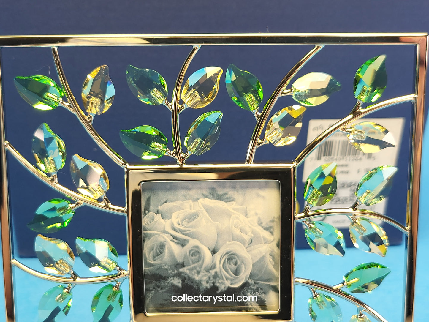 PICTURE FRAME – LEAVES SQUARE JONQUIL 660731
