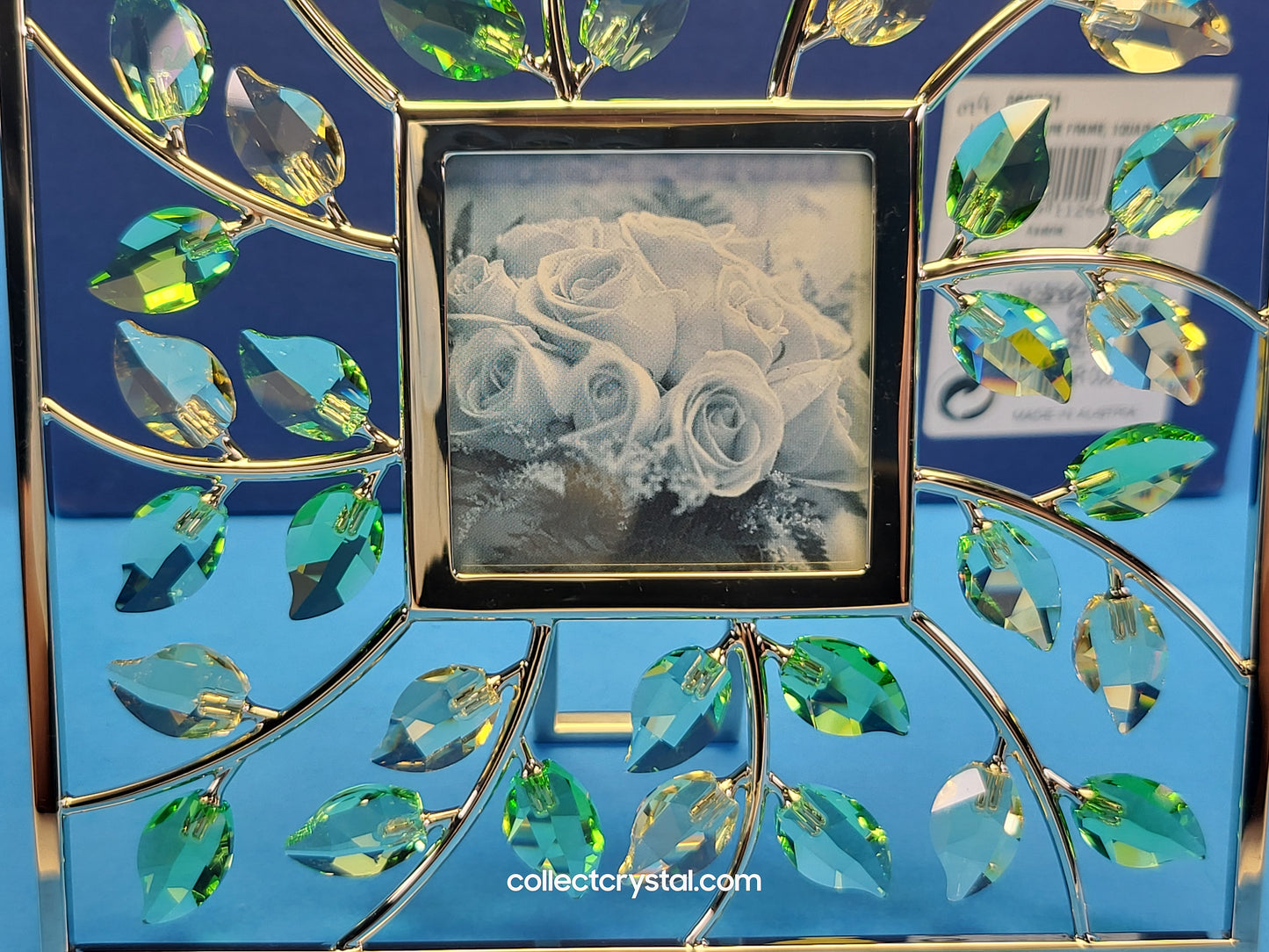 PICTURE FRAME – LEAVES SQUARE JONQUIL 660731
