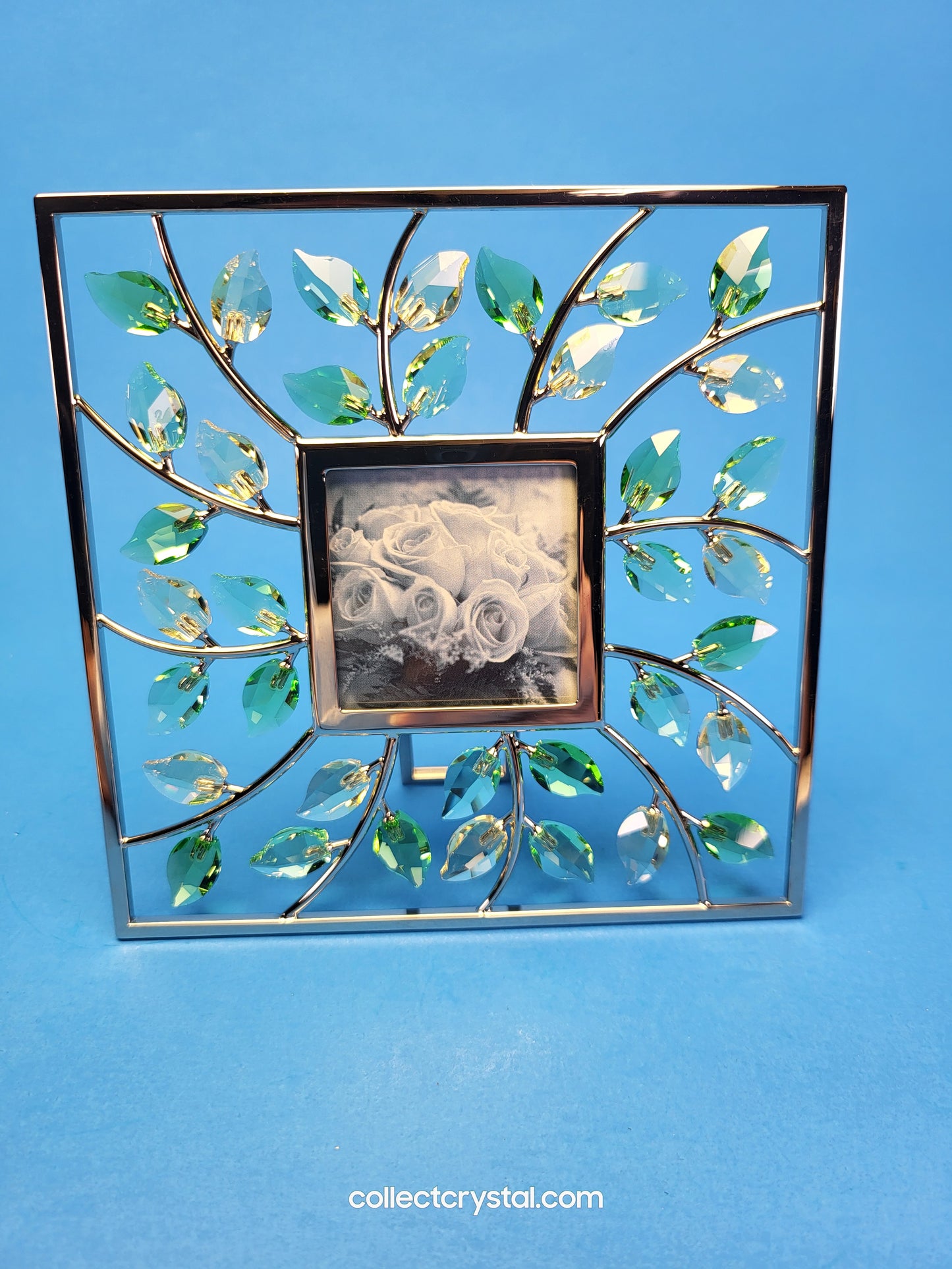 PICTURE FRAME – LEAVES SQUARE JONQUIL 660731