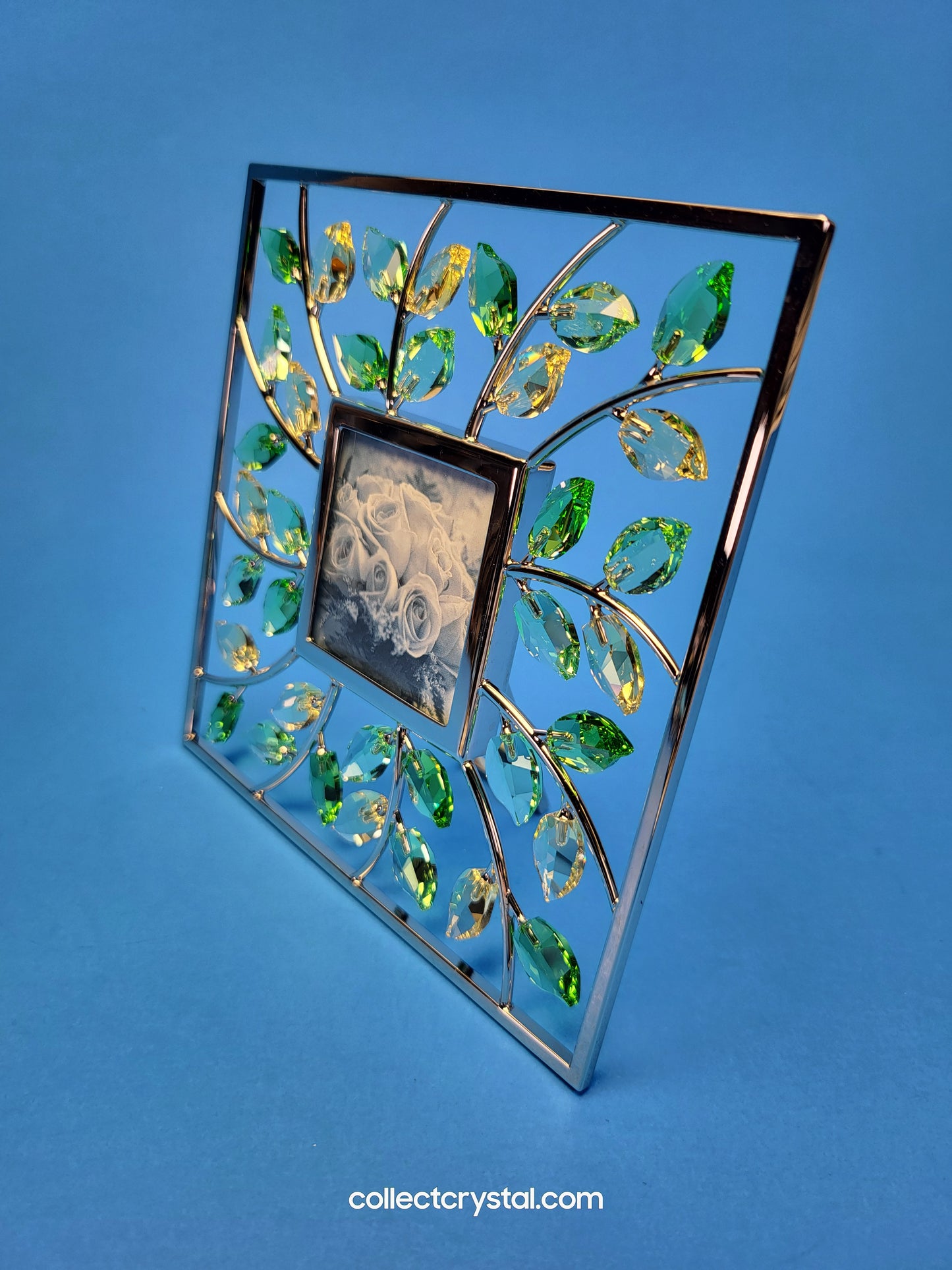 PICTURE FRAME – LEAVES SQUARE JONQUIL 660731