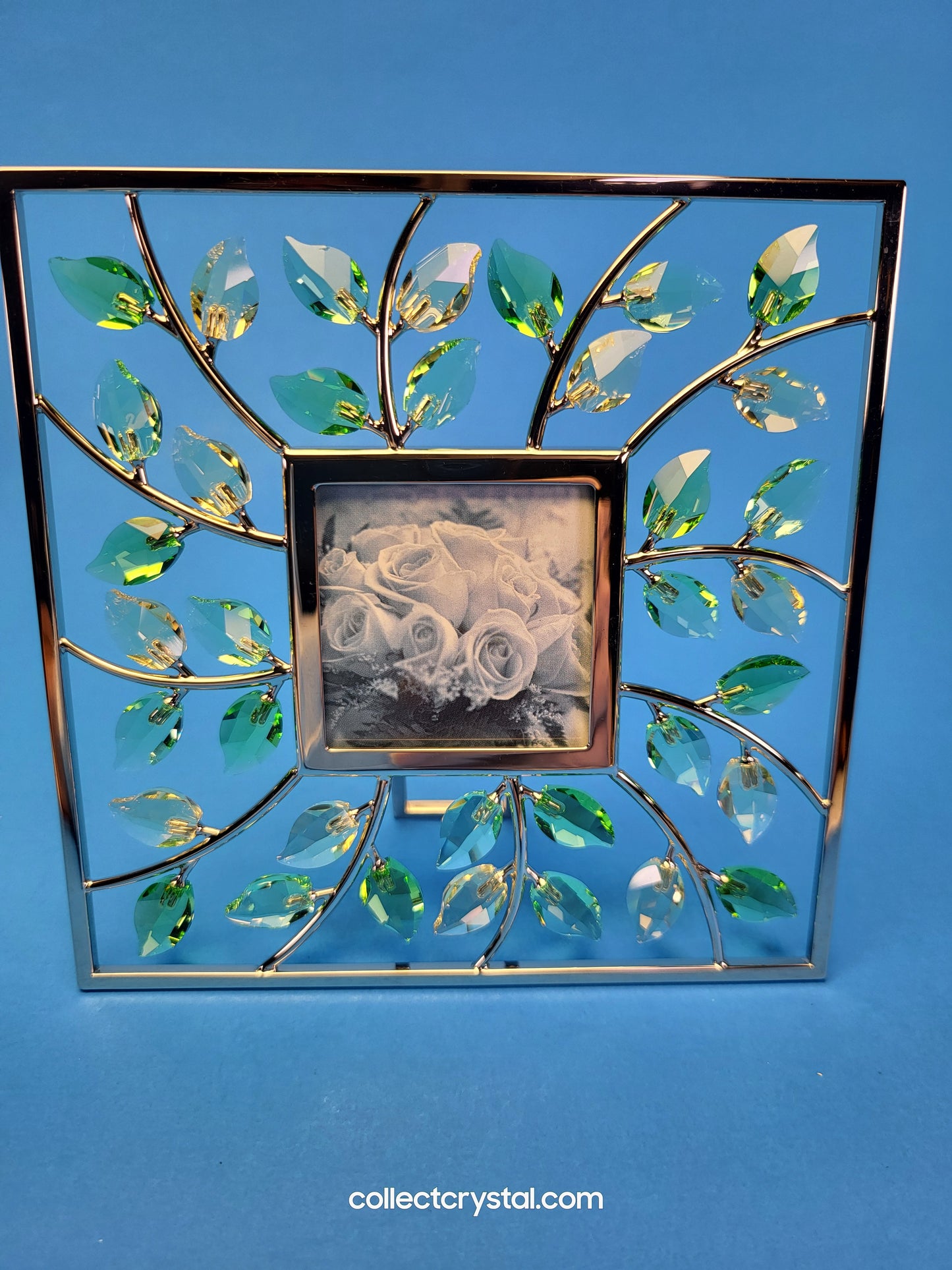 PICTURE FRAME – LEAVES SQUARE JONQUIL 660731