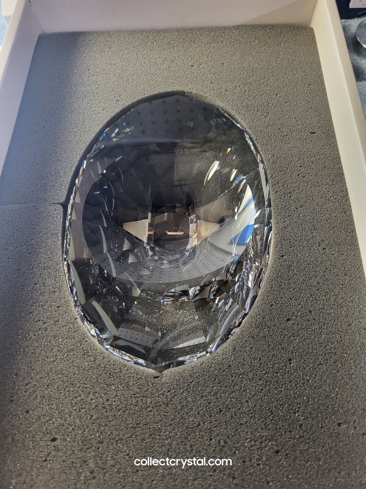 Euclid Caviar Bowl # 168001