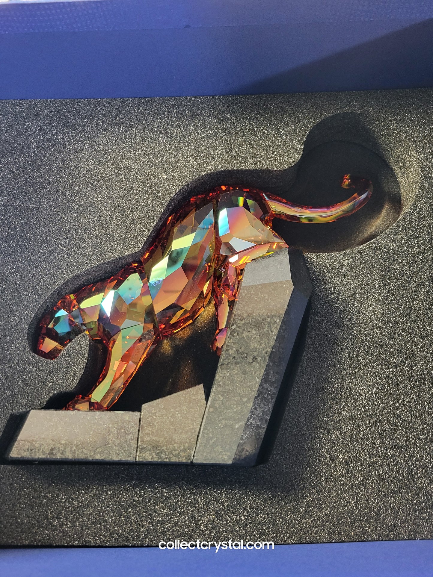 Panther - ORANGE SHINE LE  Limited Edition OF 647 / 888 SOULMATES # 1096050