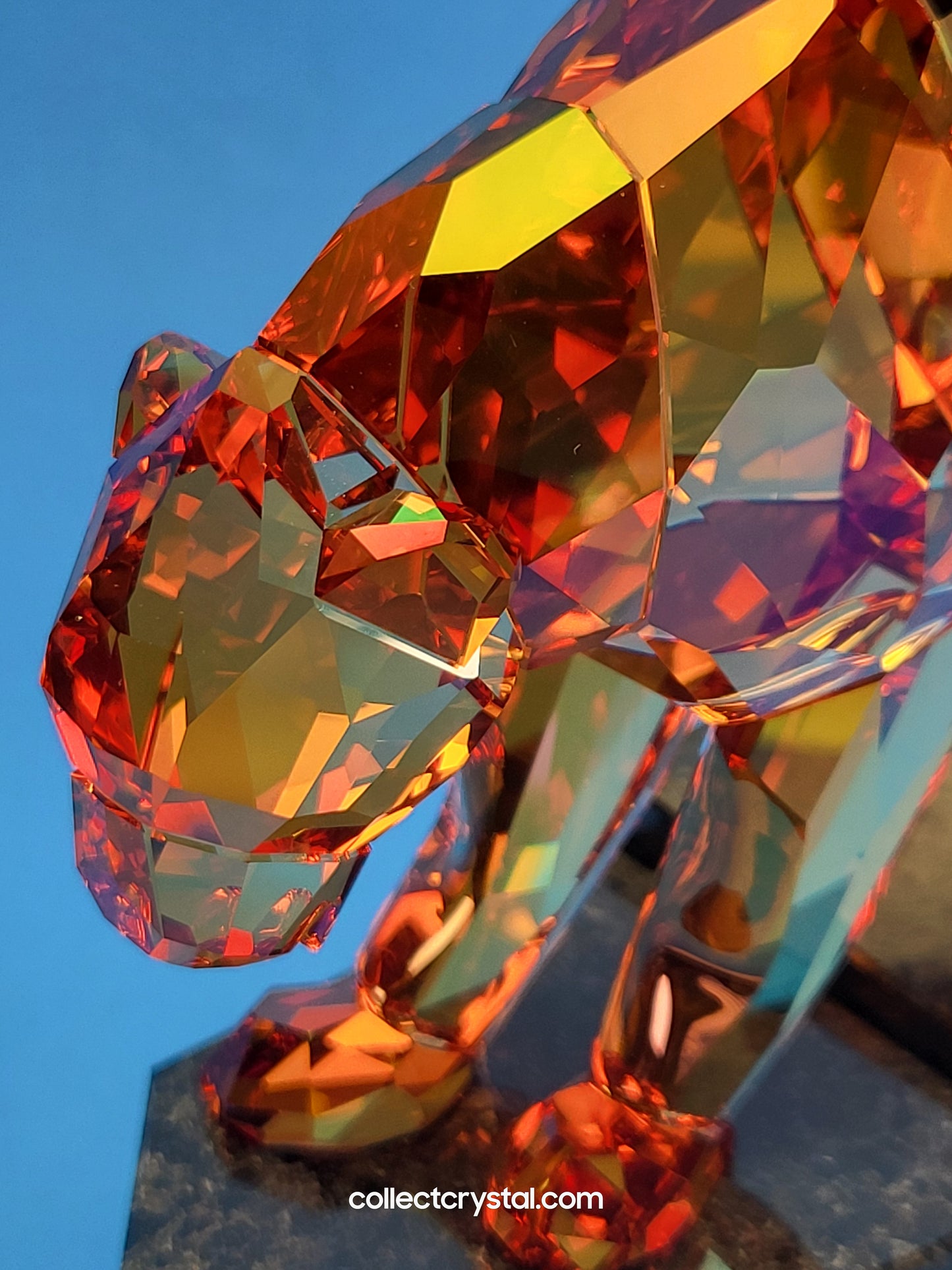 Panther - ORANGE SHINE LE  Limited Edition OF 647 / 888 SOULMATES # 1096050