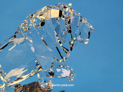 SOULMATES – LION CLEAR 1001111 / 5103232