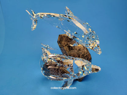 SOULMATES – DOLPHINS 955350 / 5069654