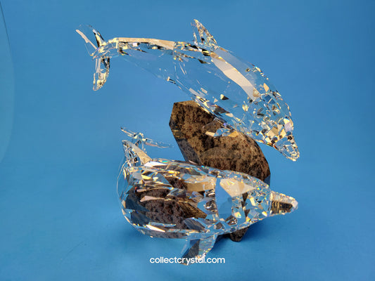 SOULMATES – DOLPHINS 955350 / 5069654