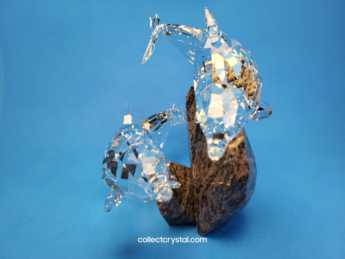 SOULMATES – DOLPHINS 955350 / 5069654