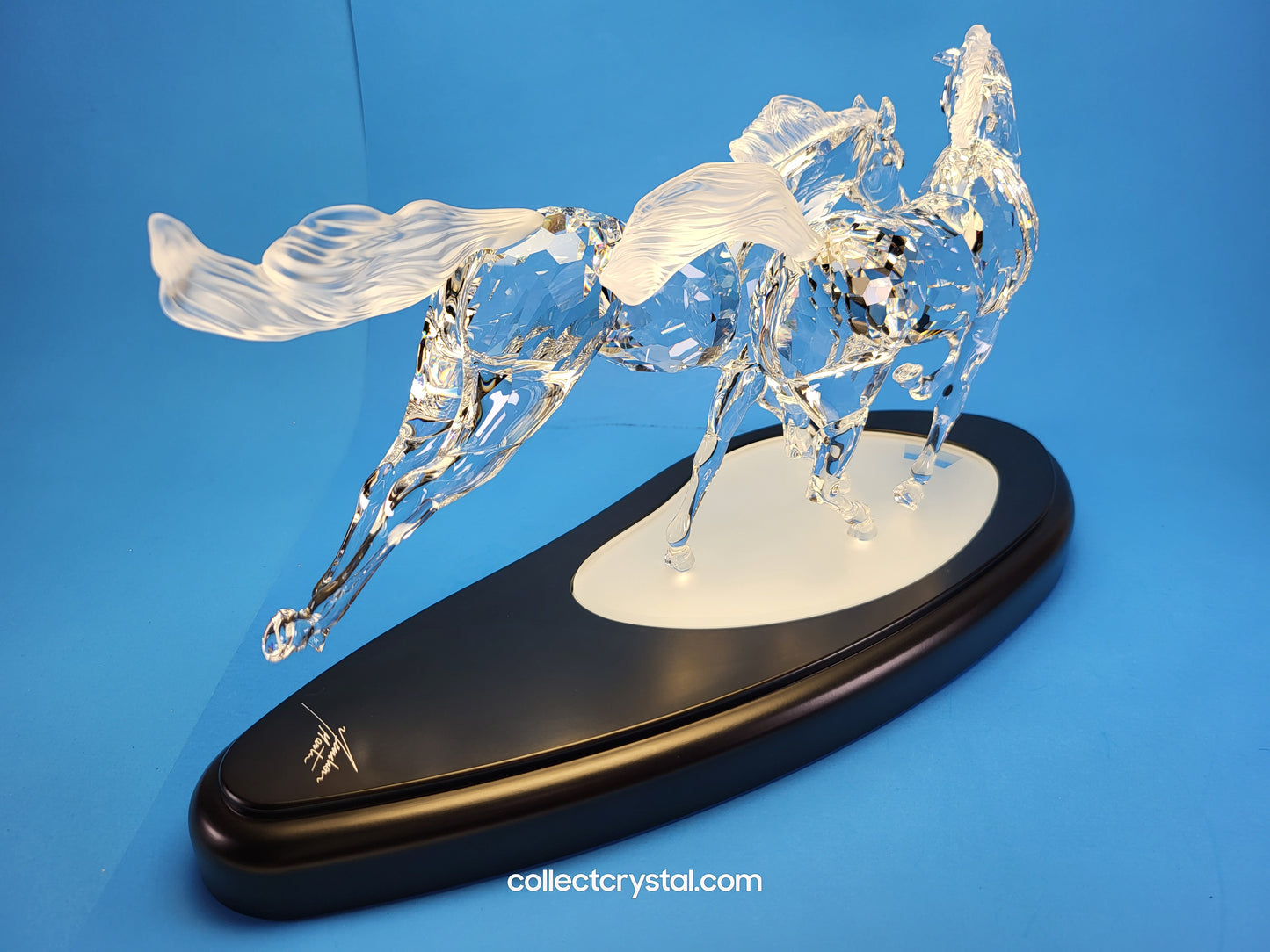 The Wild Horses, # 236720 SCS 2001 Limited Edition 5978 / 10k