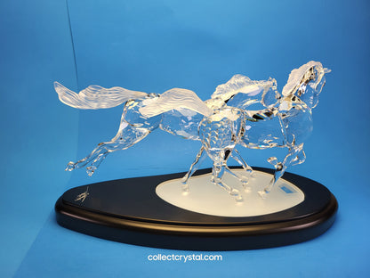 The Wild Horses, # 236720 SCS 2001 Limited Edition 5978 / 10k