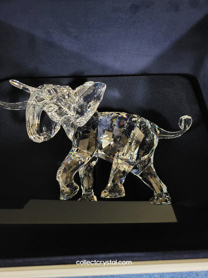 ELEPHANT LIMITED EDITION 2006 (LE/10000) # 854407 SIGNED NUMBERED 0267