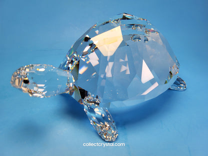 TURTLE / TORTOISE KING GIANT – USA 7632 NR 75 or 010101