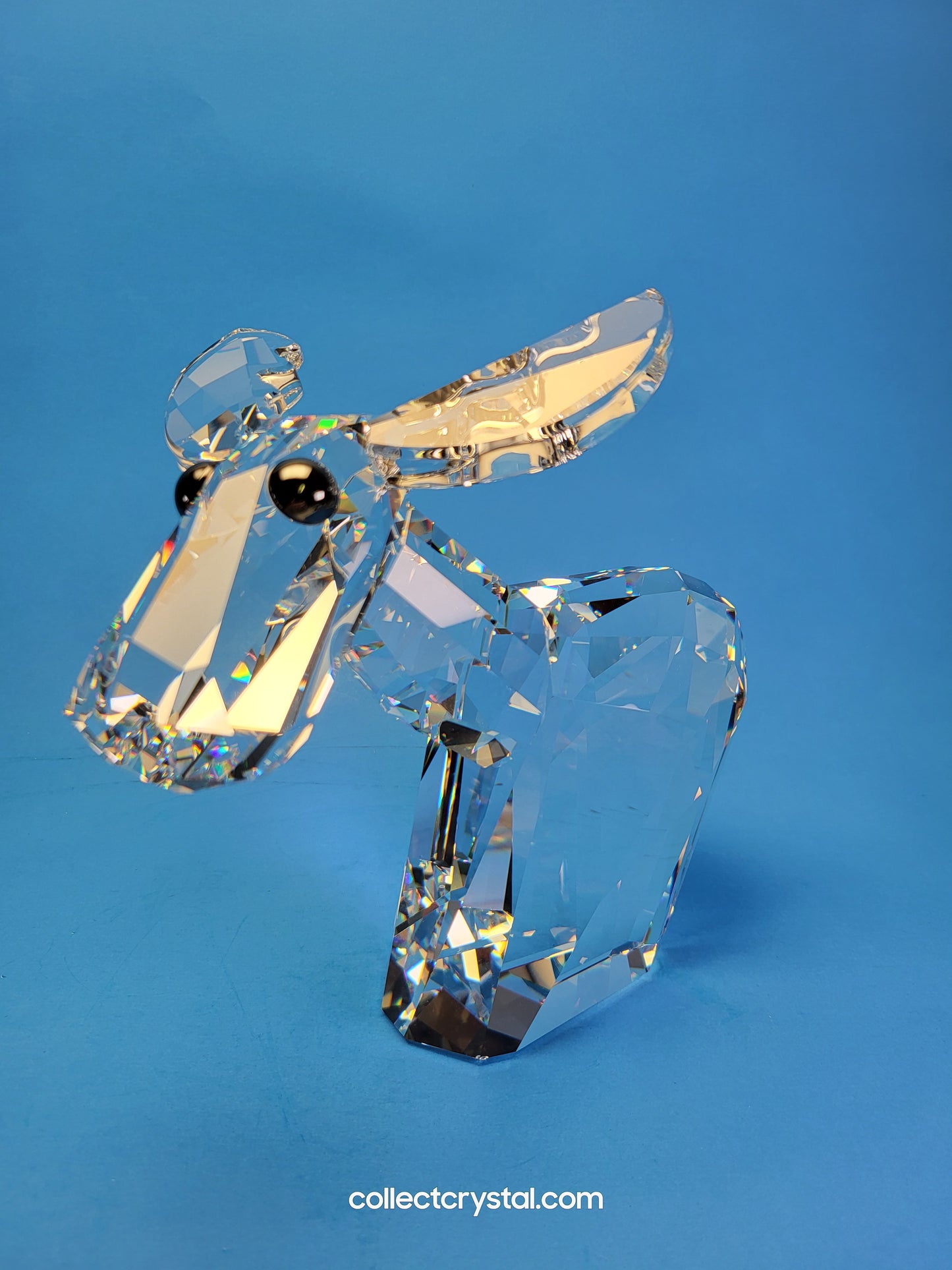 LOVLOTS PIONEERS – RICCI MOOSE LARGE # 847031