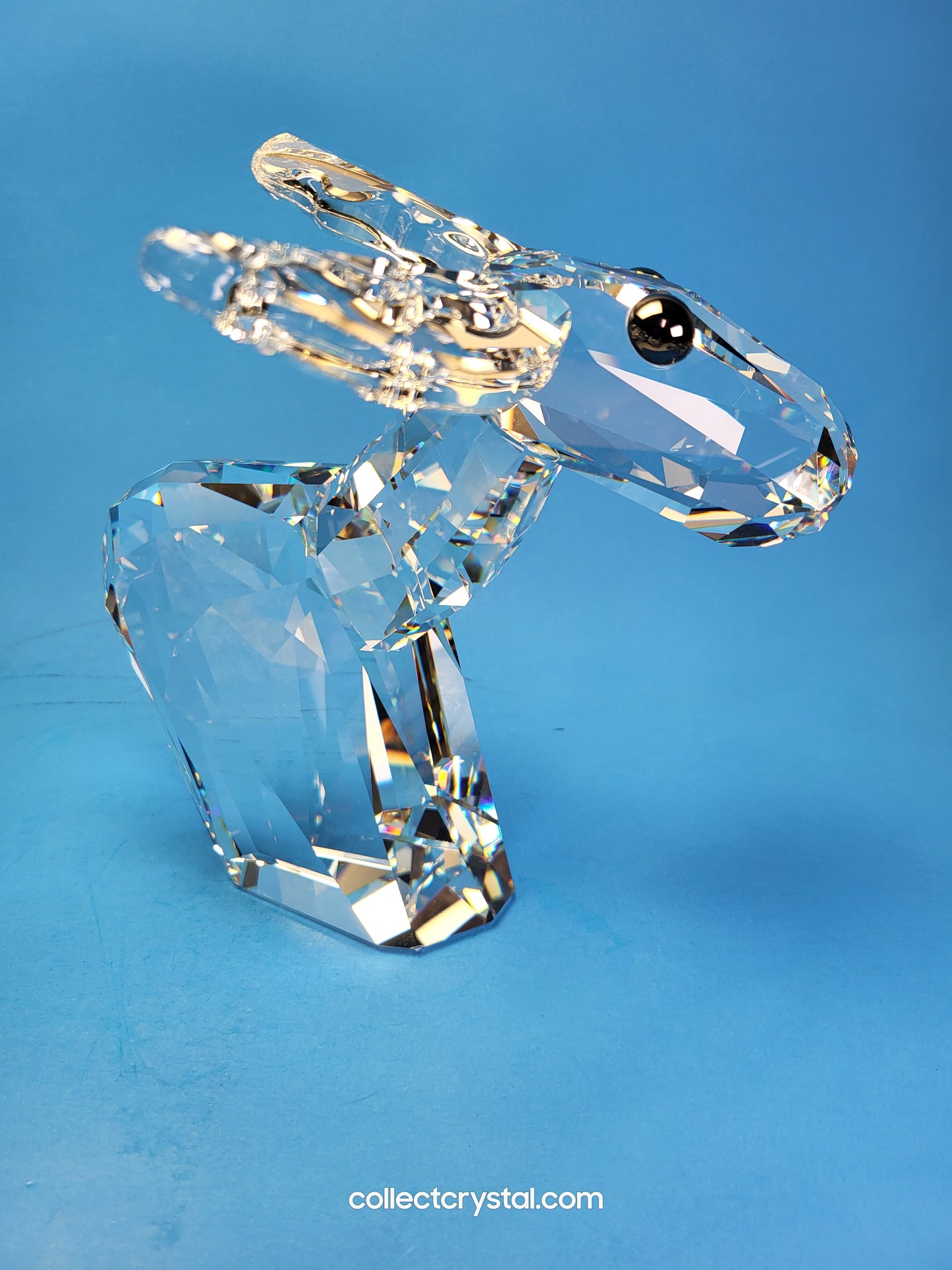 LOVLOTS PIONEERS – RICCI MOOSE LARGE # 847031