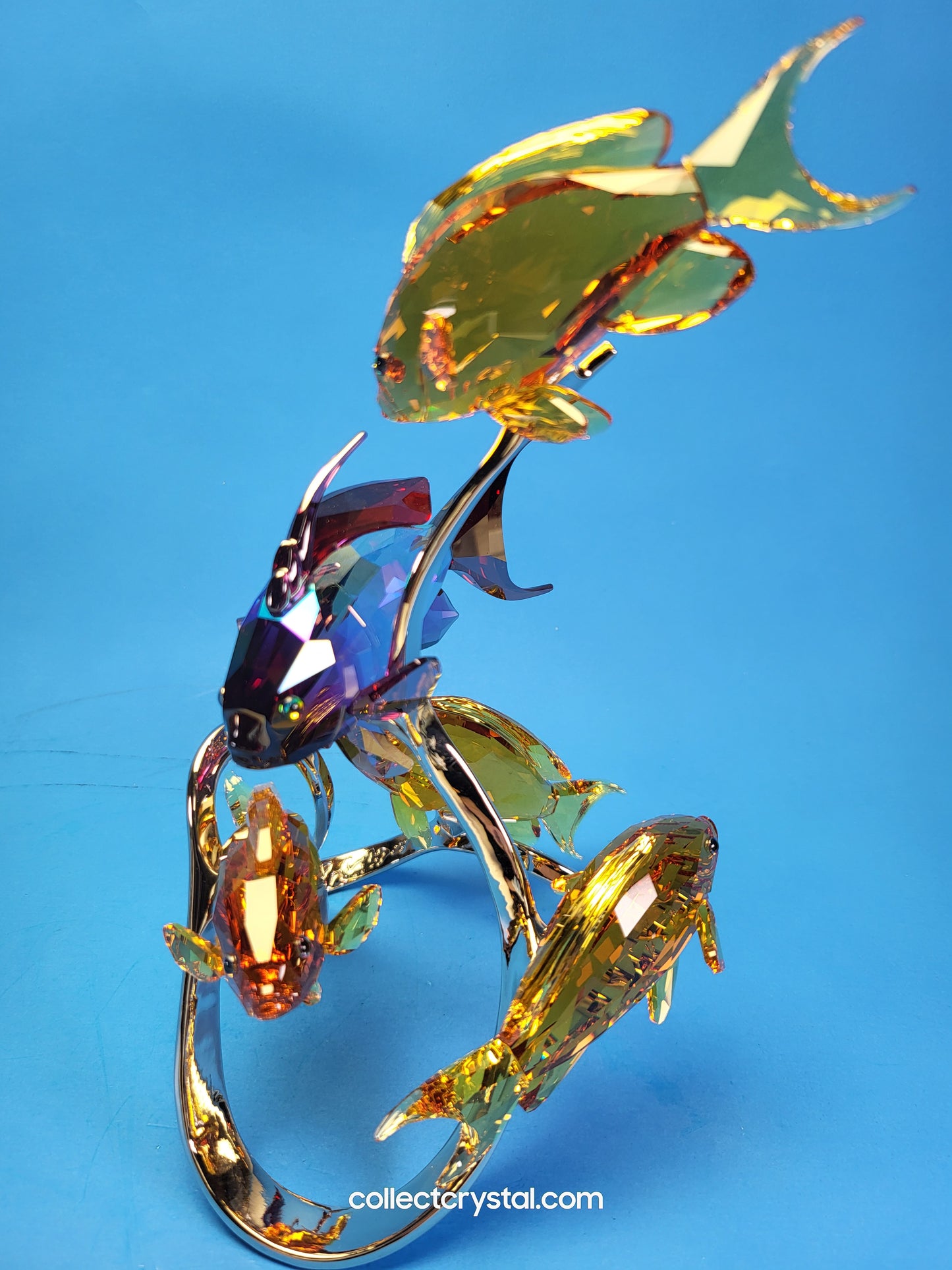 PARADISE FISH – SEA GOLDIES TOPAZ 1083778 Fish on chrome