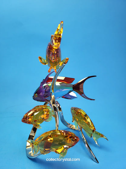 PARADISE FISH – SEA GOLDIES TOPAZ 1083778 Fish on chrome