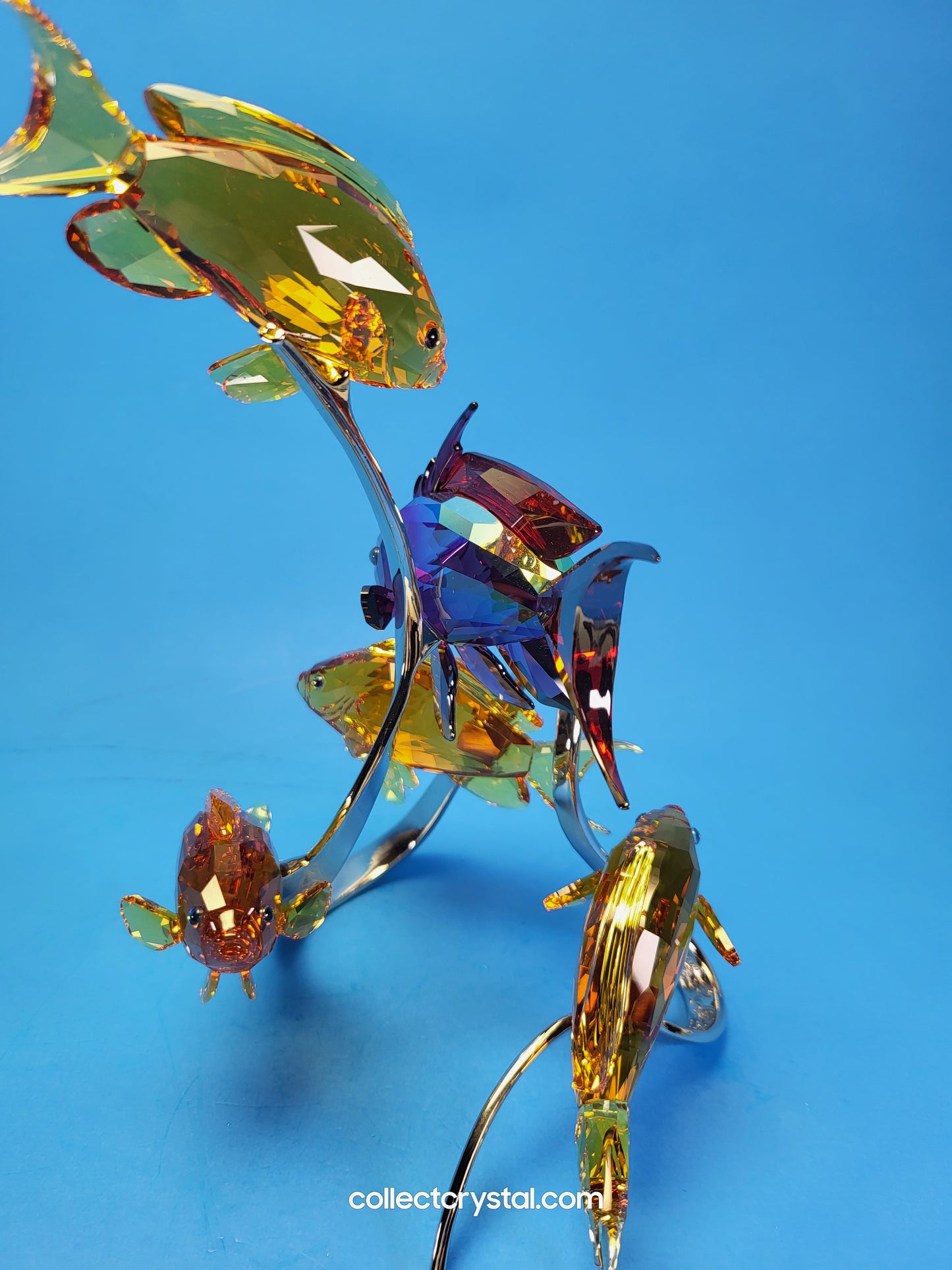 PARADISE FISH – SEA GOLDIES TOPAZ 1083778 Fish on chrome