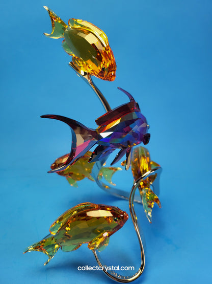 PARADISE FISH – SEA GOLDIES TOPAZ 1083778 Fish on chrome