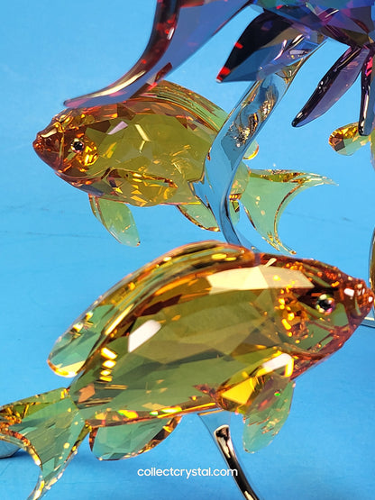 PARADISE FISH – SEA GOLDIES TOPAZ 1083778 Fish on chrome