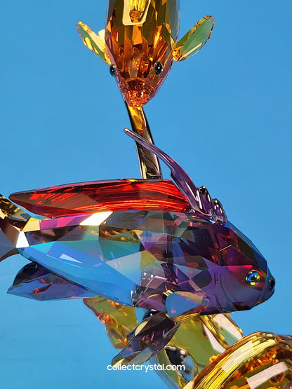 PARADISE FISH – SEA GOLDIES TOPAZ 1083778 Fish on chrome