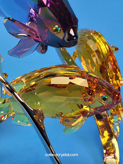 PARADISE FISH – SEA GOLDIES TOPAZ 1083778 Fish on chrome