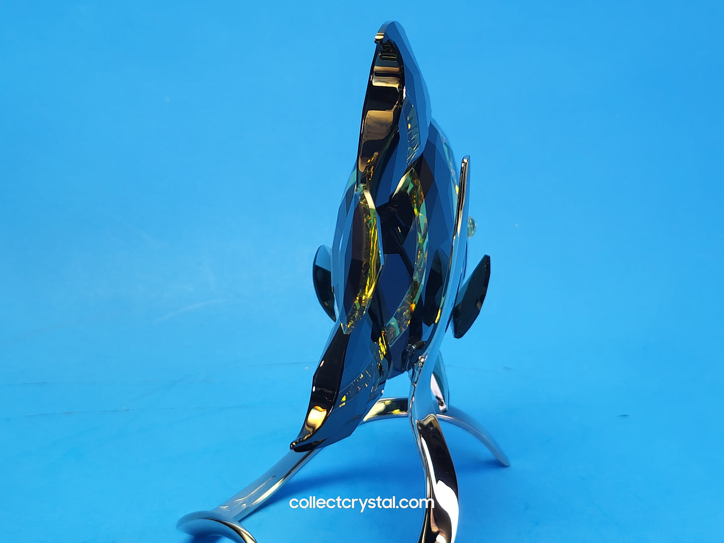 PARADISE FISH – FRENCH ANGELFISH JONQUIL MORODA 1083776