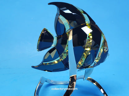 PARADISE FISH – FRENCH ANGELFISH JONQUIL MORODA 1083776