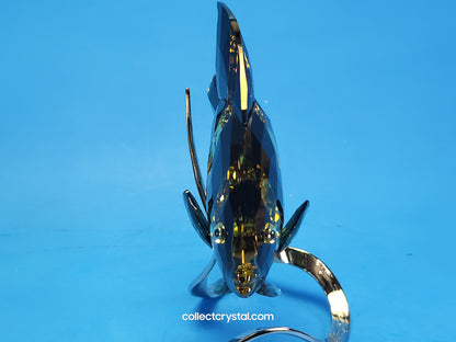 PARADISE FISH – FRENCH ANGELFISH JONQUIL MORODA 1083776