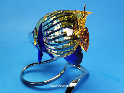 PARADISE FISH – EMPEROR ANGELFISH JONQUIL 1072590