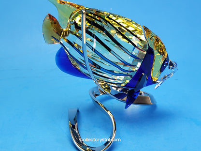 PARADISE FISH – EMPEROR ANGELFISH JONQUIL 1072590