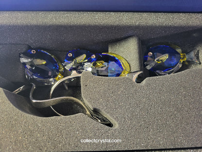 PARADISE FISH – SURGEONFISH # 1034023