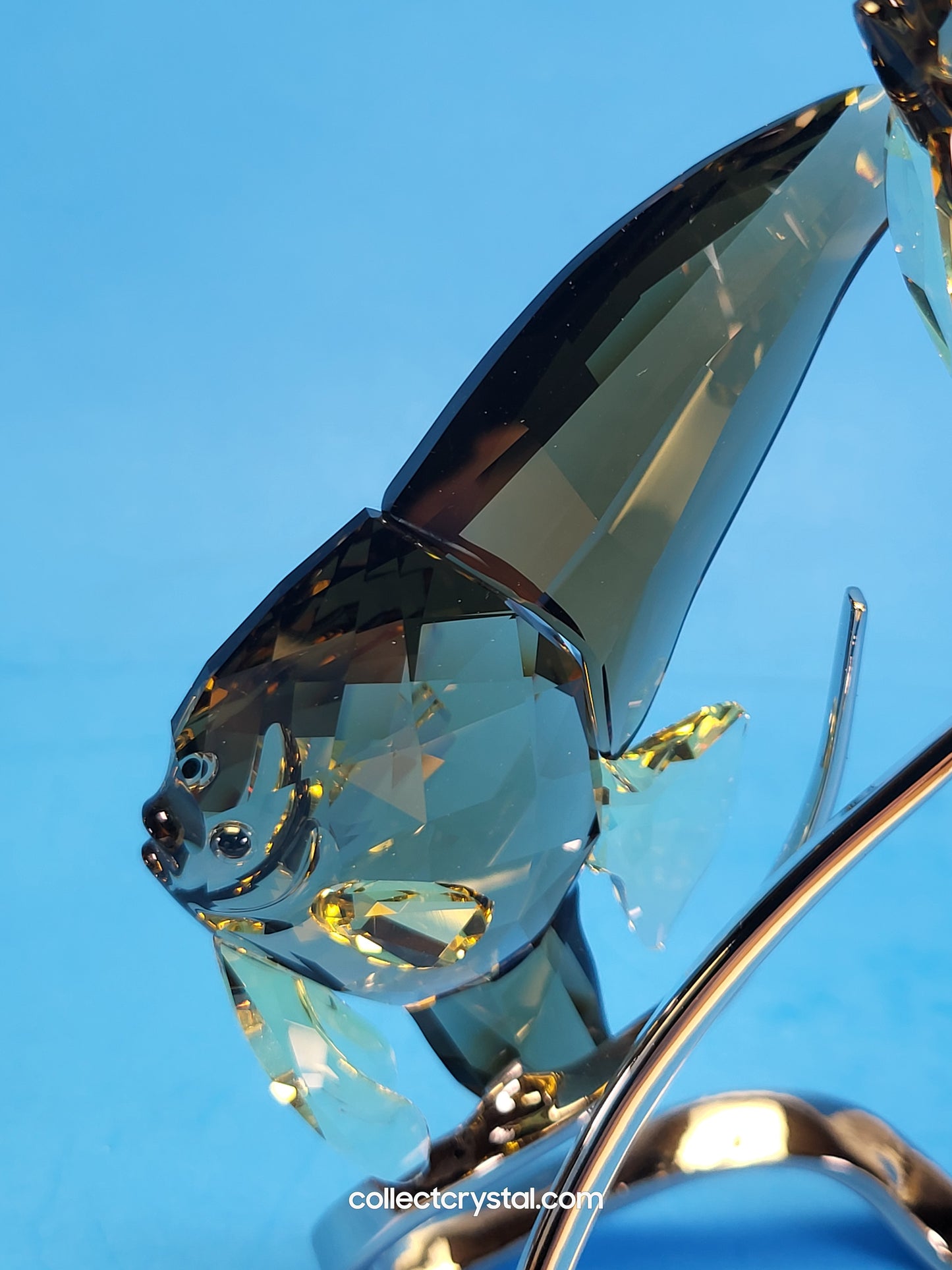 PARADISE FISH – BATFISH SMOKY QUARTZ # 1036571 on chrome