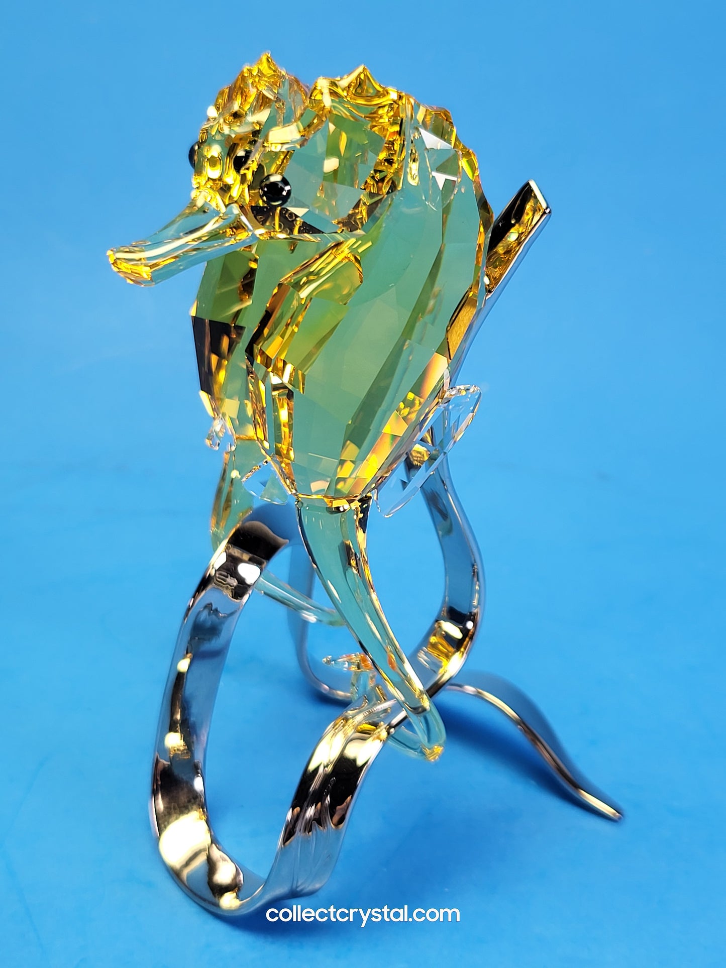 PARADISE FISH – SEAHORSES LIGHT TOPAZ 1033926 / 5103233