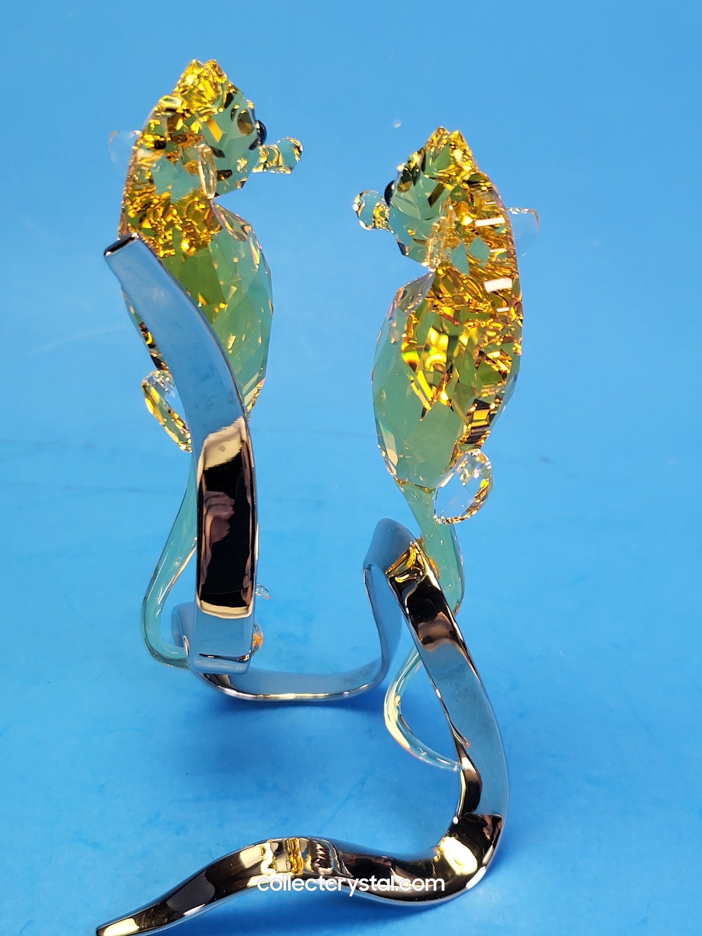 PARADISE FISH – SEAHORSES LIGHT TOPAZ 1033926 / 5103233