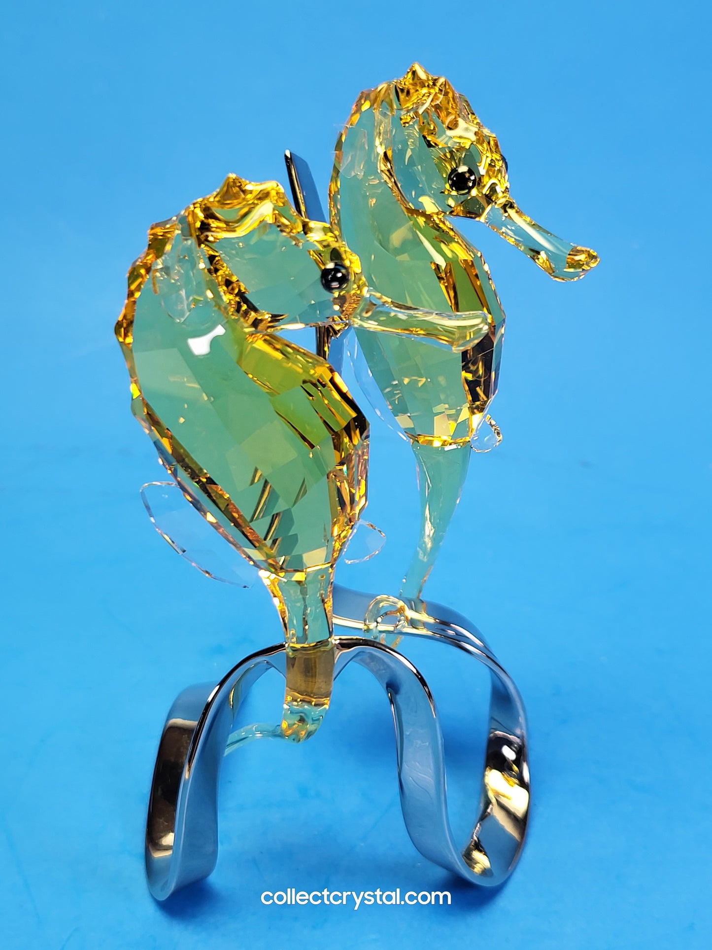 PARADISE FISH – SEAHORSES LIGHT TOPAZ 1033926 / 5103233