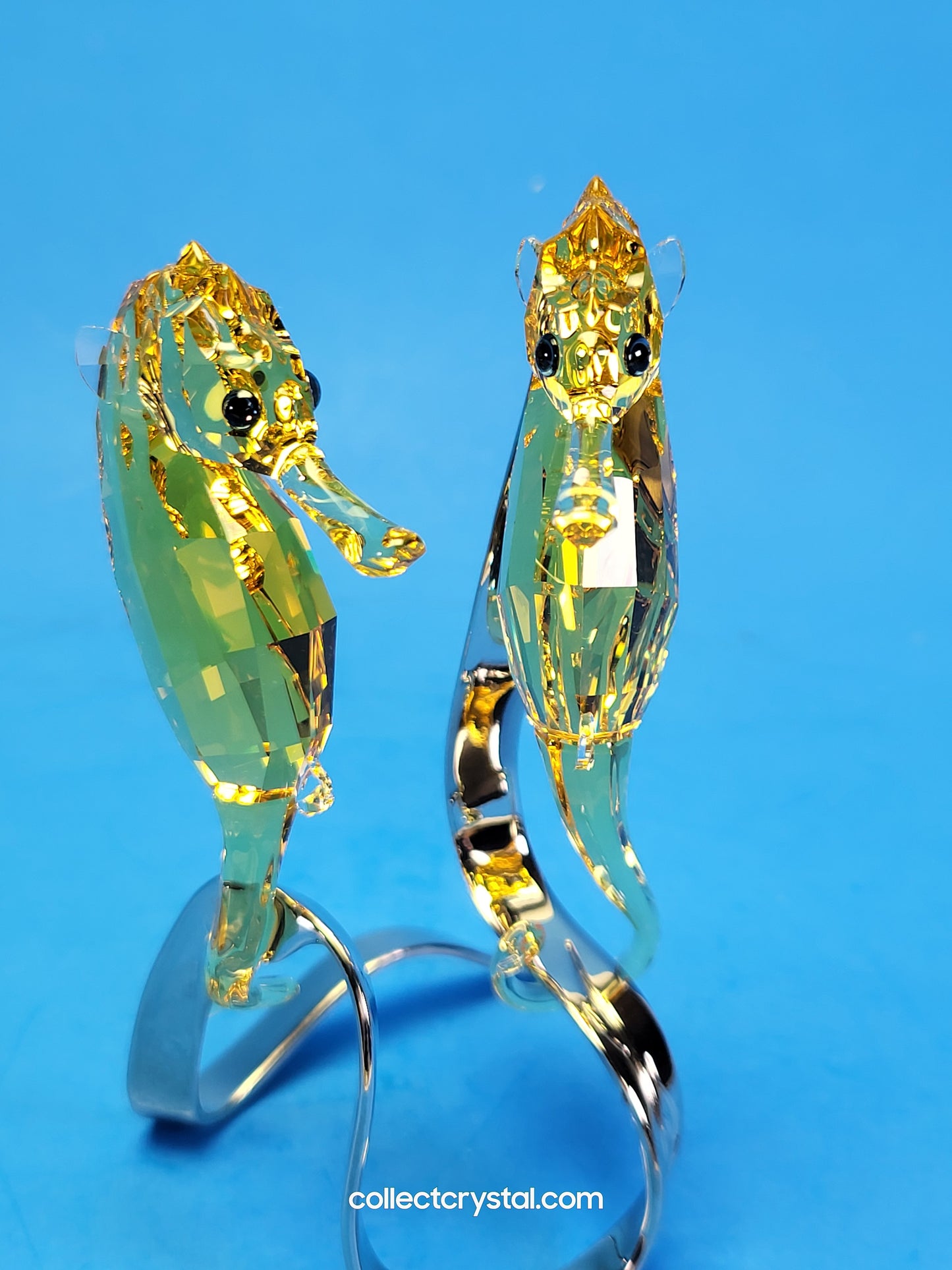 PARADISE FISH – SEAHORSES LIGHT TOPAZ 1033926 / 5103233