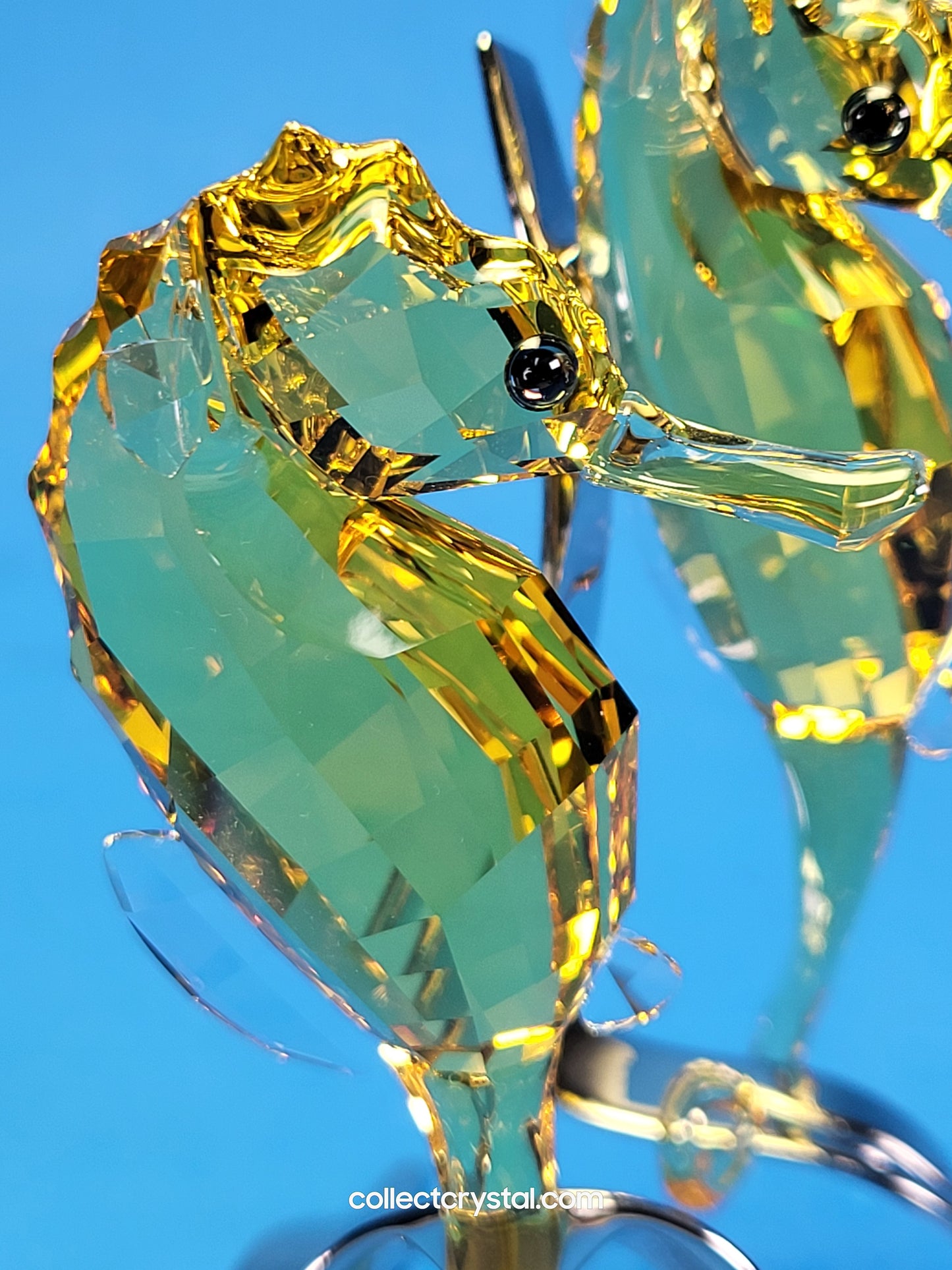 PARADISE FISH – SEAHORSES LIGHT TOPAZ 1033926 / 5103233