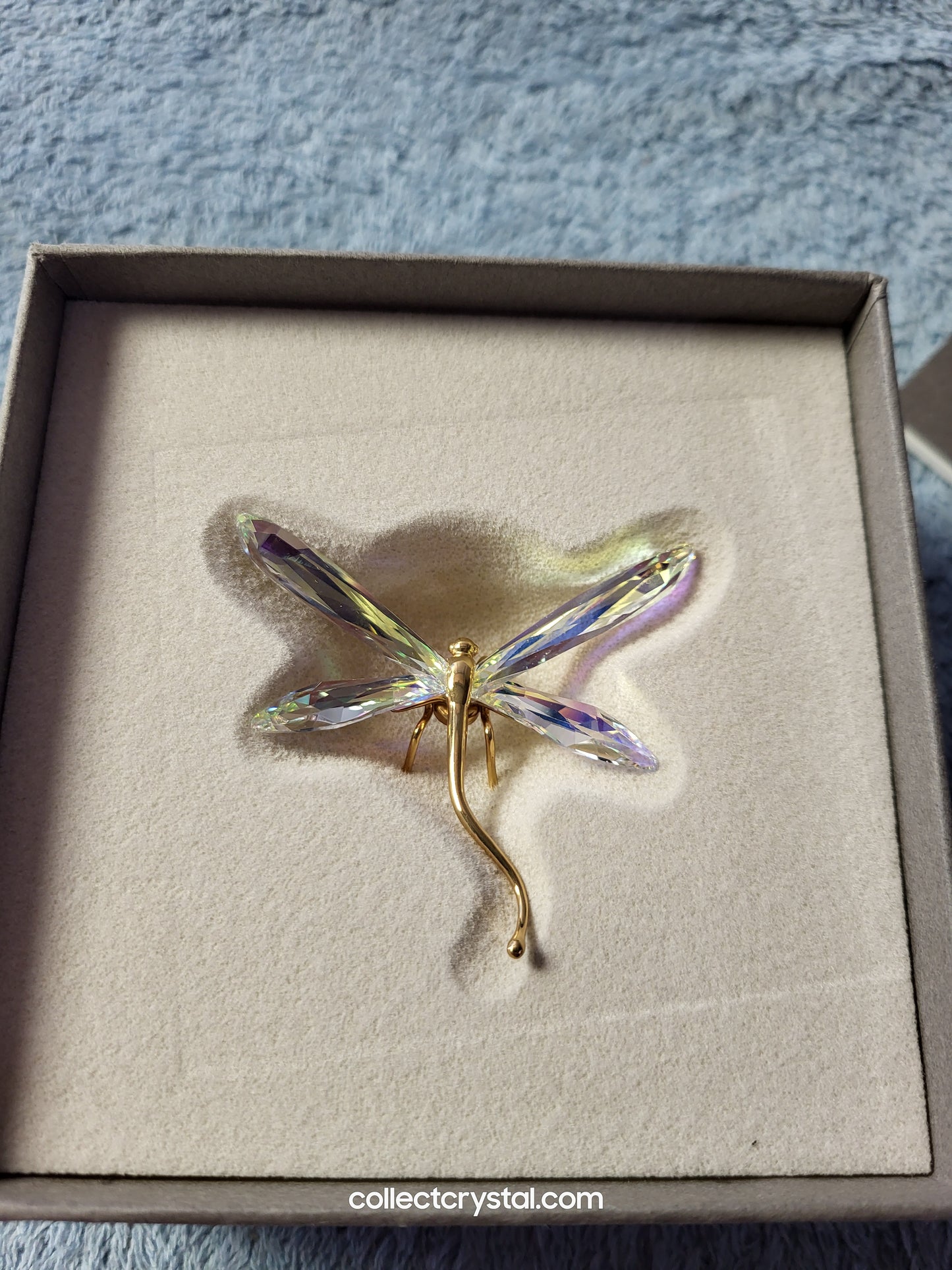 PARADISE BUGS OBJECT – DRAGONFLY ALIBEY AURORA BOREALIS # 250479
